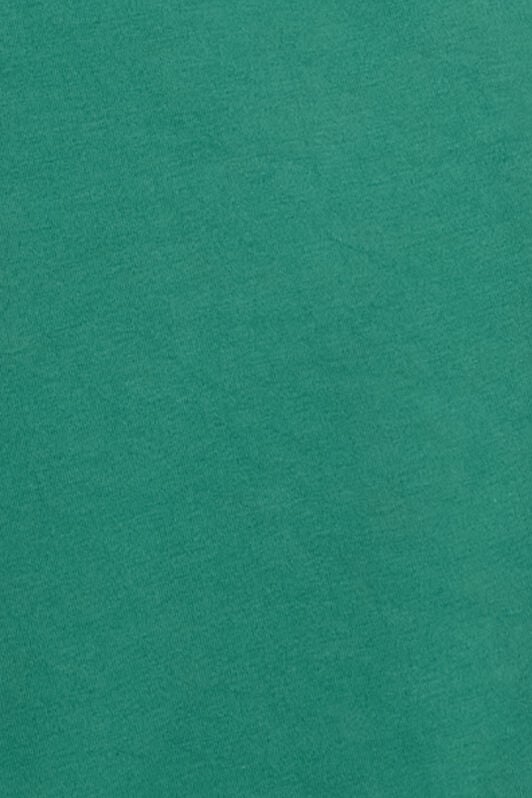 RC Green Logo Sweatshirt RC Green Logo Sweatshirt GREEN POT66B-CF054
