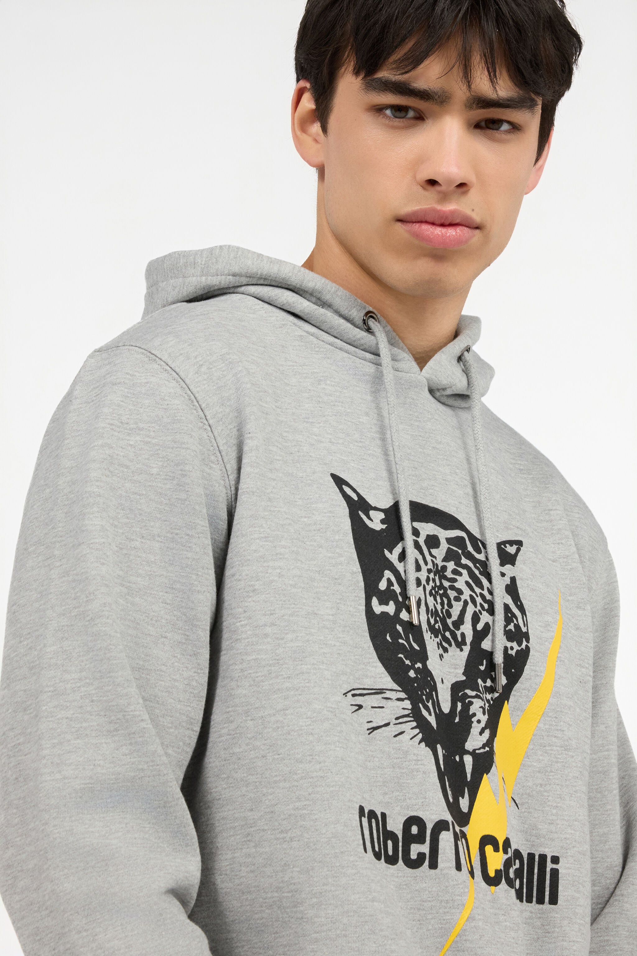 RC Graues Sweatshirt Mit Jaguar Und Blitz RC Graues Sweatshirt Mit Jaguar Und Blitz GREY POT69B-CF052