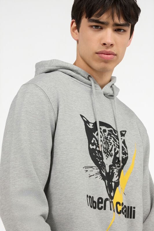 RC Graues Sweatshirt Mit Jaguar Und Blitz RC Graues Sweatshirt Mit Jaguar Und Blitz GREY POT69B-CF052