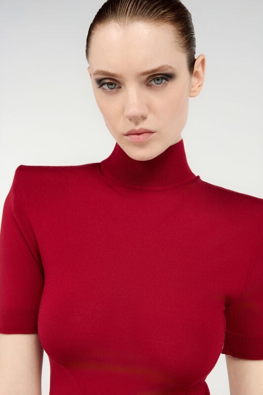 RC Pullover In Dunkelrot Mit Hohem Kragen RC Pullover In Dunkelrot Mit Hohem Kragen Rot VWM605-MQ014