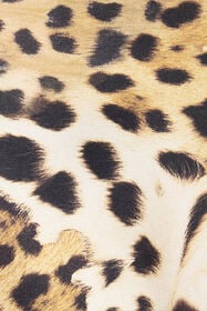 RC Silk Shirt With Animal Prints Light brown VRT710-OZG34