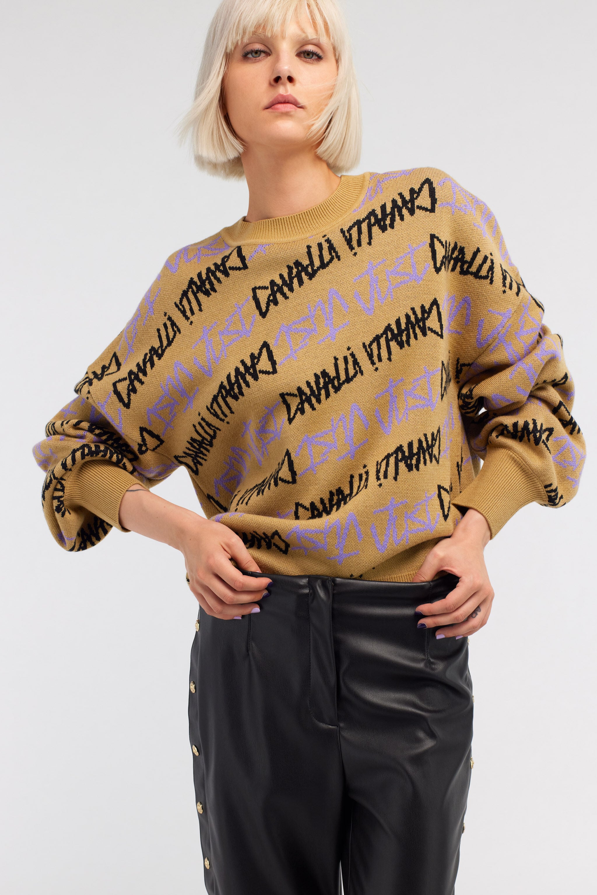JC Just Cavalli Jacquard Pullover JC Just Cavalli Jacquard Pullover Light Brown RKM658-RK352