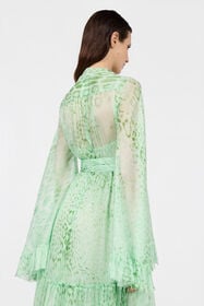 RC Vestido De Seda Estampado Jaguar Mint PISTACHIO GREEN XQT133-HNT23