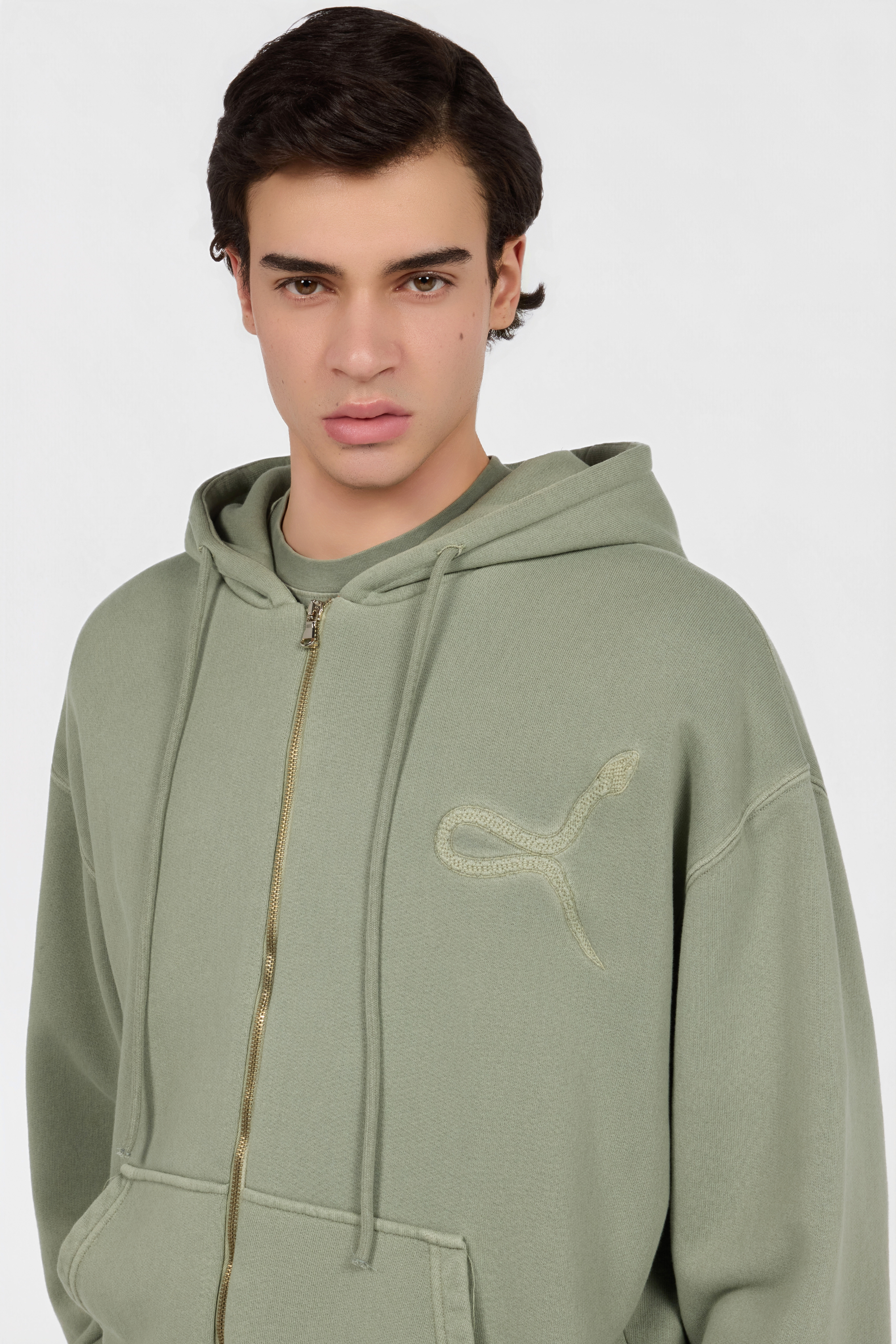 RC Sage Hoodie With Embroidered Snake RC Sage Hoodie With Embroidered Snake SAGE XNT69E-CF021