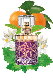 RC Florence Eau De Parfum 75 ml Purple SAW014-SA021