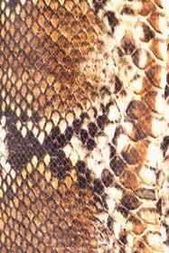 RC Python Print Skirt RC Python Print Skirt Brown UWP300-PN053