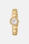 RC Montre Snake Core, Roberto Cavalli By Franck Muller GOLD WHITE UALT14-IT560