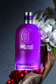 JC JUST CAVALLI WILD HEART EAU DE PARFUM 90ML JC JUST CAVALLI WILD HEART EAU DE PARFUM 90ML GENERIC UALI04-II008