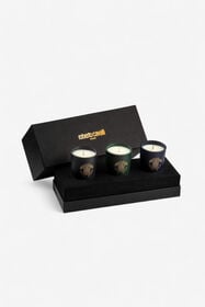 HO Gold Jungle Set Tre Candele Profumate 80 G Multicolore TALA02-IA096