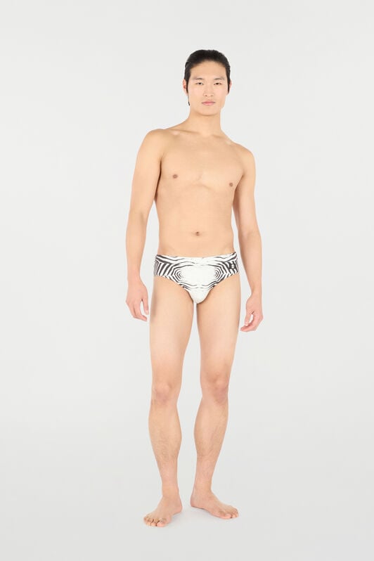 RC Zebra-Print Swim Briefs RC Zebra-Print Swim Briefs Black/White URH01M-LNN49