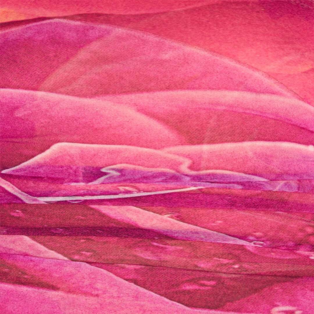 RC Etuikleid Mit Print Rose RC Etuikleid Mit Print Rose Fuchsia UKT146-6HN48