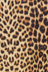 RC Jaguar Print Leggings NATURAL WQT23A-LNQ71
