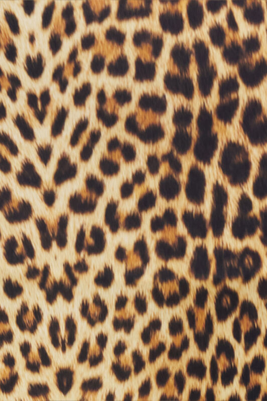 RC Leggings Stampa Jaguar NATURAL WQT23A-LNQ71