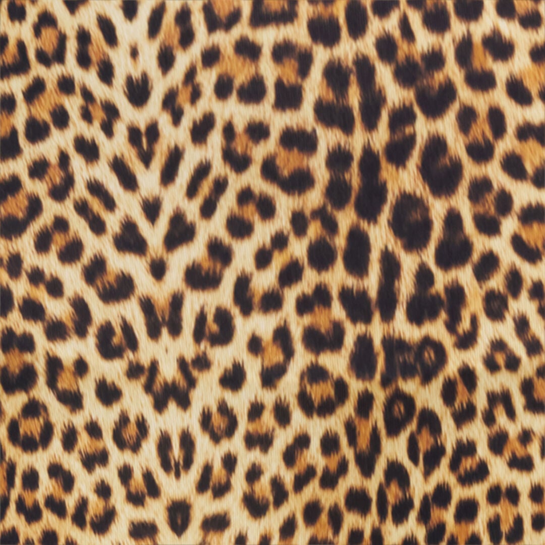 RC Leggings Stampa Jaguar NATURAL WQT23A-LNQ71