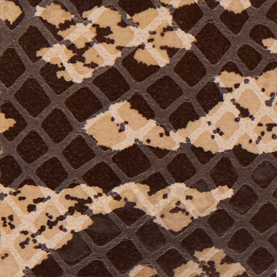 RC Snakeskin Print Logo Belt BLACK/BEIGE QOC00B-PZO35