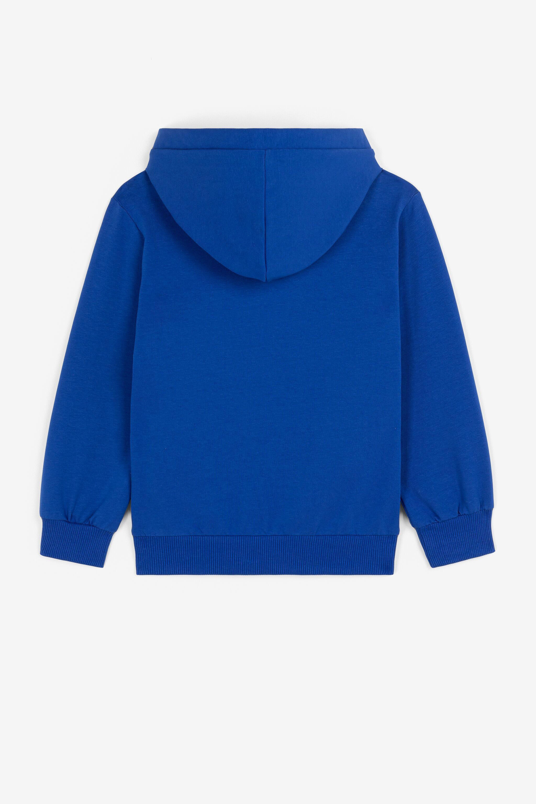 JU Eagle-Print Hoodie JU Eagle-Print Hoodie Blue PJT982-CF050