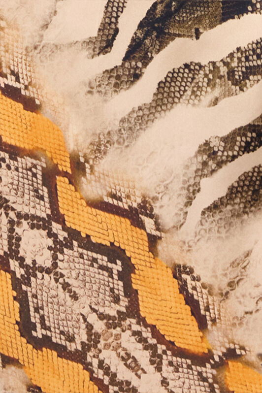 RC Silk Dress With Animalier Print RC Silk Dress With Animalier Print NATURAL/ORANGE POT10A-2NQ87