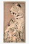 HO Big Cat Print Beach Towel HO Big Cat Print Beach Towel STONE UALH03-IH004