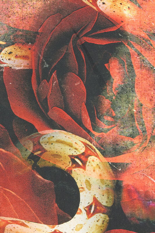 RC T-Shirt With Rose And Snake Print RC T-Shirt With Rose And Snake Print Red URT62C-4QN59