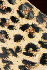 RC Zapatos de salón animal print en piel con detalle de serpiente NATURAL WKS009-PZS02