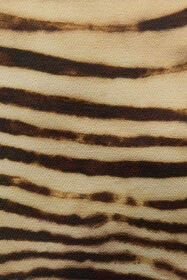 JC Mini Dress With Tiger Skin Print Light Brown UFT171-UF237