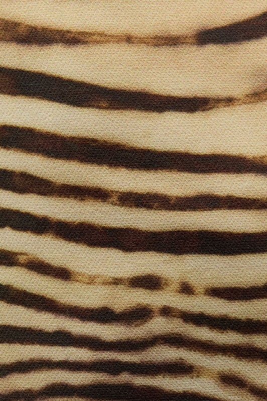 JC Mini Dress With Tiger Skin Print JC Mini Dress With Tiger Skin Print Light Brown UFT171-UF237