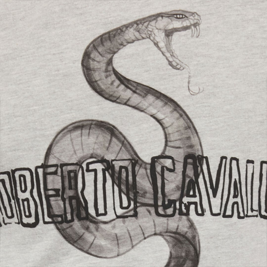 RC Grey Mélange T-Shirt with Snake and Logo RC Grey Mélange T-Shirt with Snake and Logo GREY MELANGE ROT60D-JD055