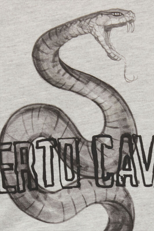 RC Grey Mélange T-Shirt with Snake and Logo RC Grey Mélange T-Shirt with Snake and Logo GREY MELANGE ROT60D-JD055