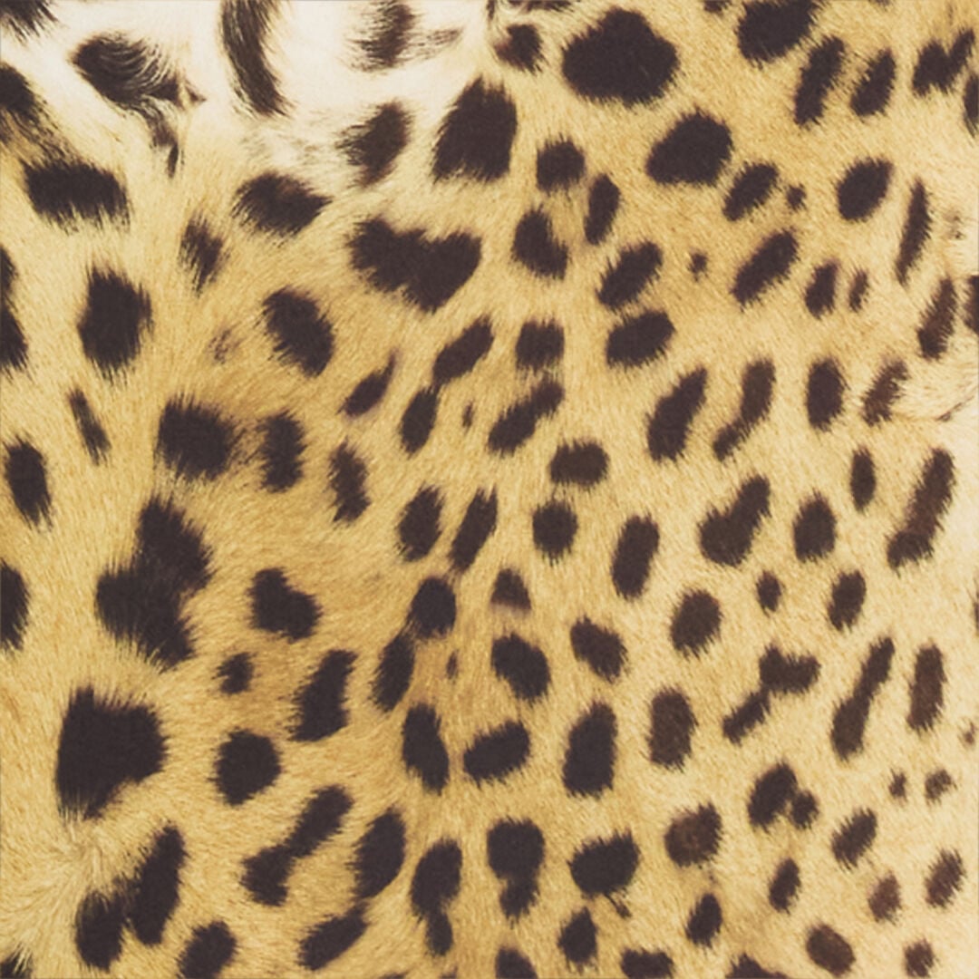 RC Jumpsuit with Jaguar Skin print RC Jumpsuit with Jaguar Skin print Light Brown SKT11A-LNG34