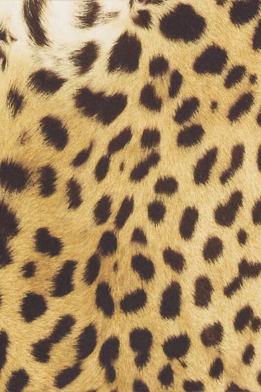 RC Jumpsuit with Jaguar Skin print RC Jumpsuit with Jaguar Skin print Light Brown SKT11A-LNG34