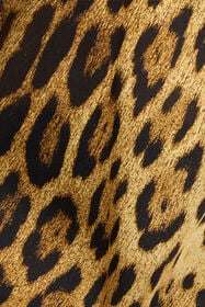 RC Roberto Cavalli Leopard Print Lace Slip Dress Brown VWT165-HZQ71