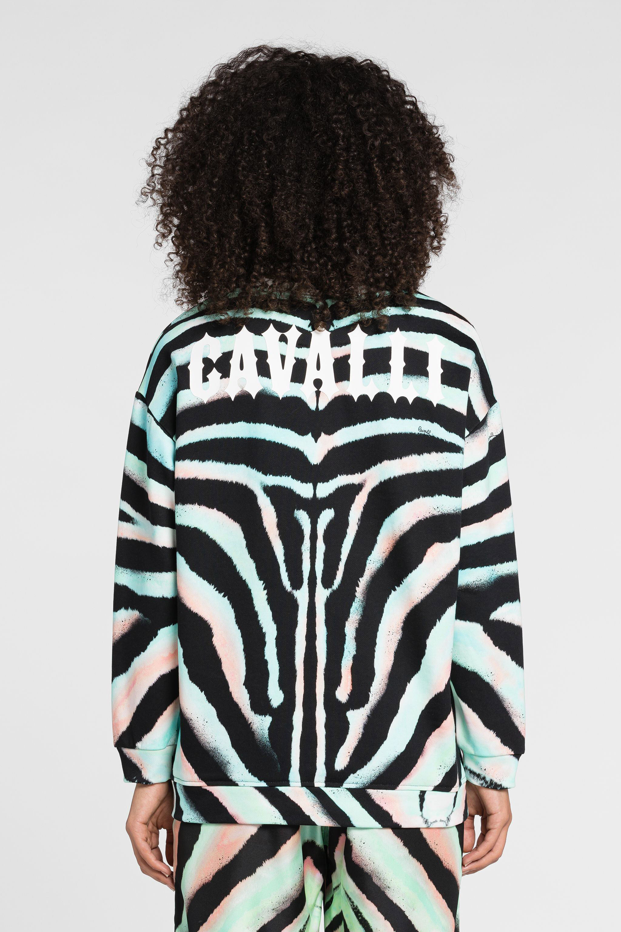 RC Zebra-Print Logo Cotton Sweatshirt Light green/Black OQT66I-5OD03