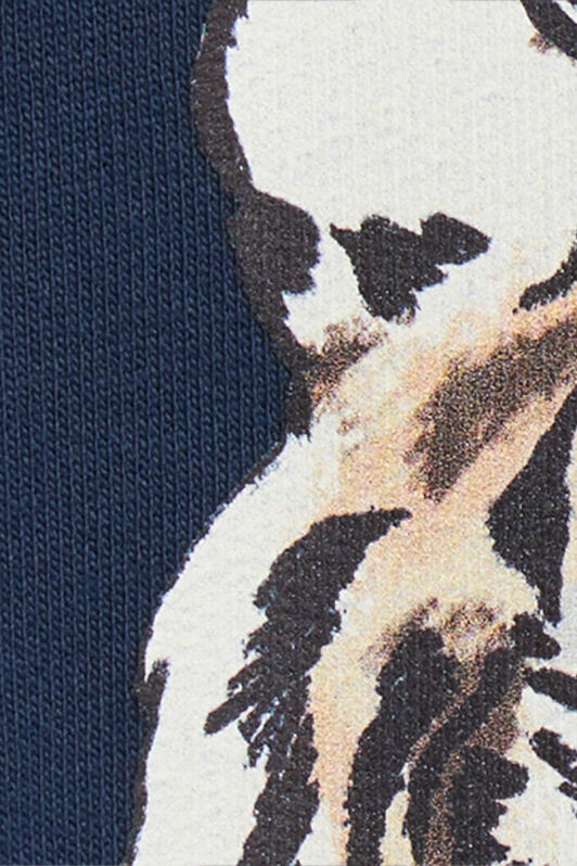 JU Blue Sweatshirt with Tiger Print NAVY VJT697-CF050