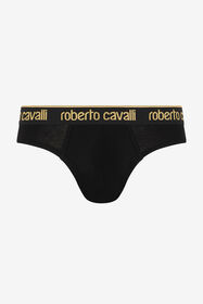 ${brand} Roberto Cavalli Logo Slip ${colorDescription} ${masterID}