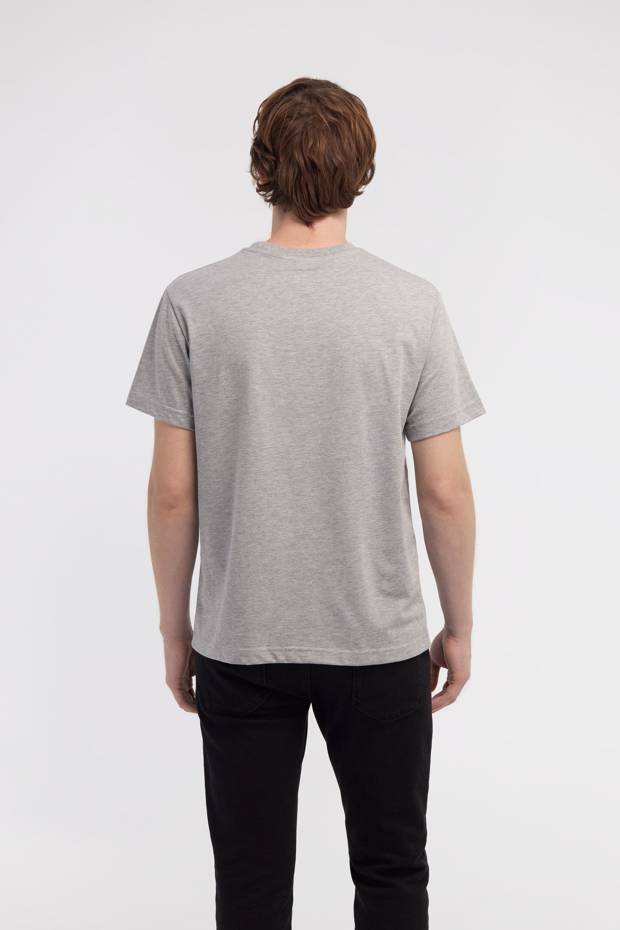 RC T-shirt with Jaguar and Snake prints Gray NOT60J-JD016