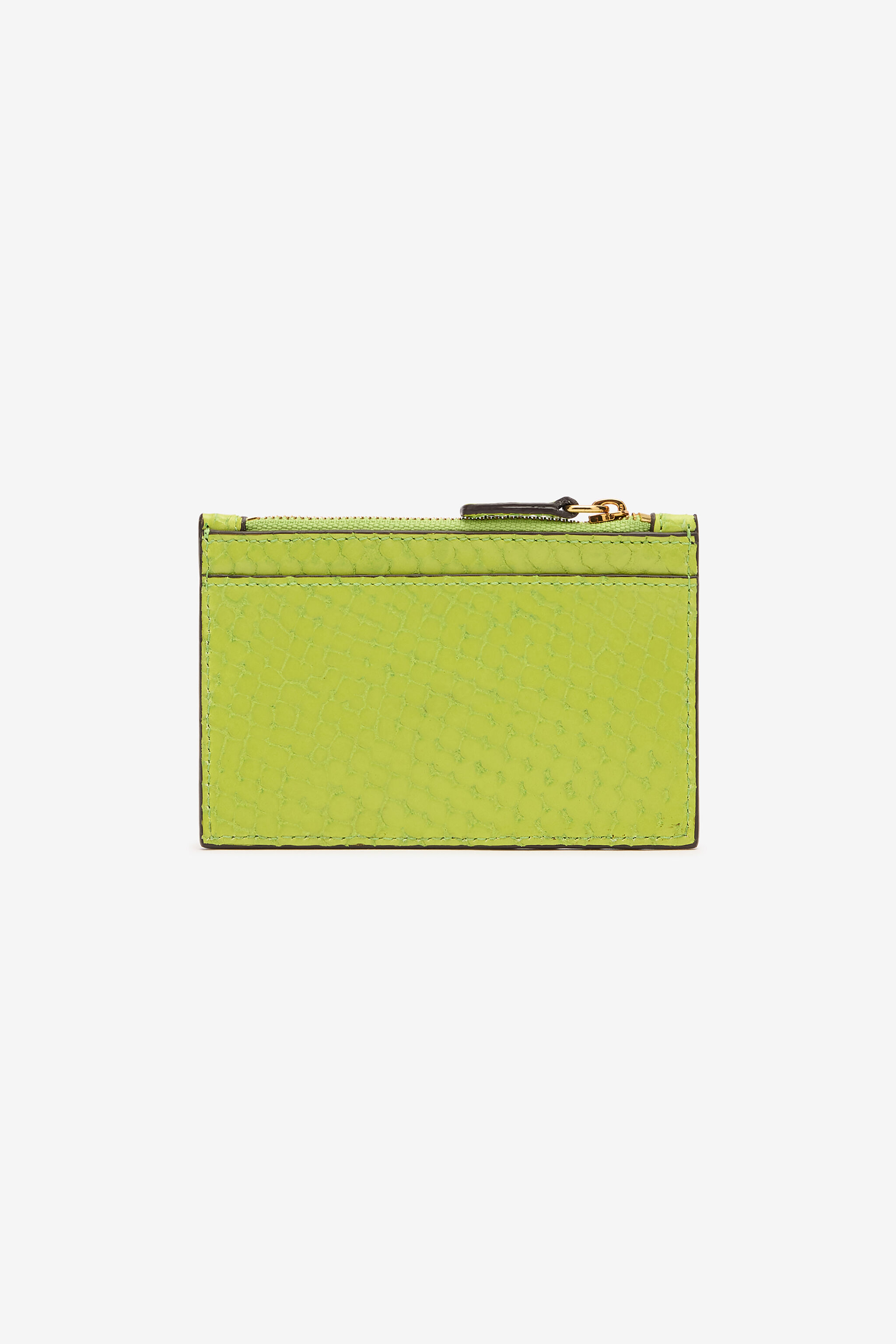 RC Portemonnaie Façon Écailles De Serpent Vert clair TKA005-PZV98