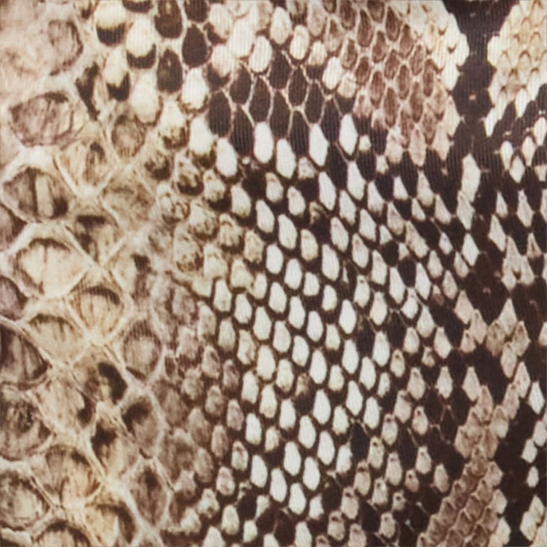 RC Snake-Print Bikini Light Brown KSW01A-HVI18