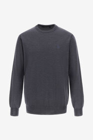 ${brand} Crewneck sweater with RC ${colorDescription} ${masterID}