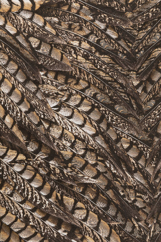 JU T-shirt en coton à imprimé Falcon JU T-shirt en coton à imprimé Falcon Marron clair RJT628-JFG83