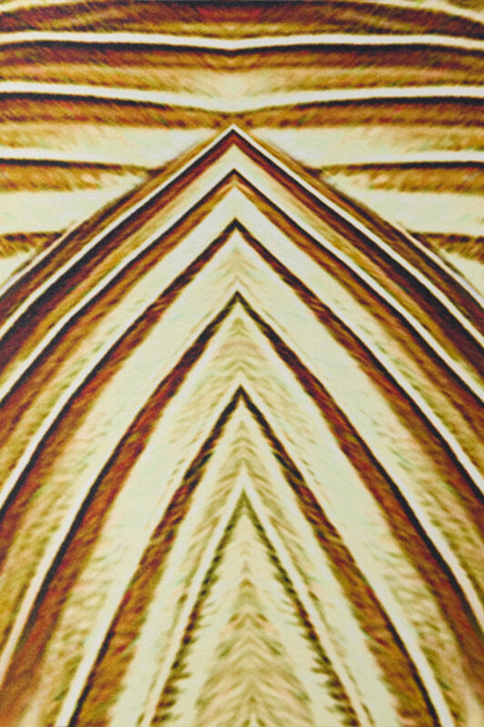 RC Abito Lungo In Seta Con Stampa Ray Of Gold SAHARA WWT134-RYS34