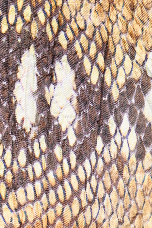 RC Python Print Shirt Bodysuit Light Brown UWT706-4QN93