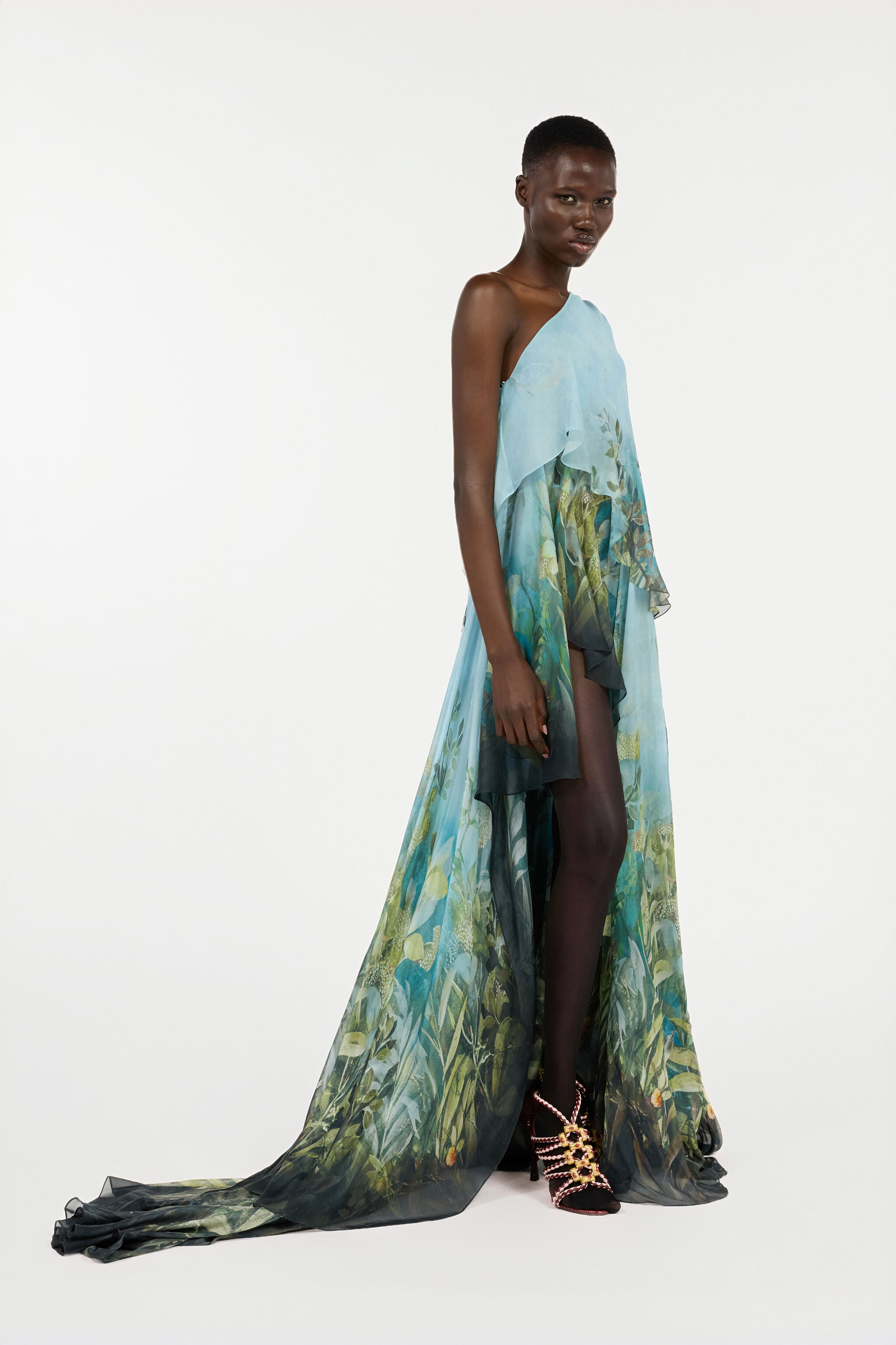 RC Extra-Long Silk Dress with Nature Print Green/Blue VWT136-XTQ70