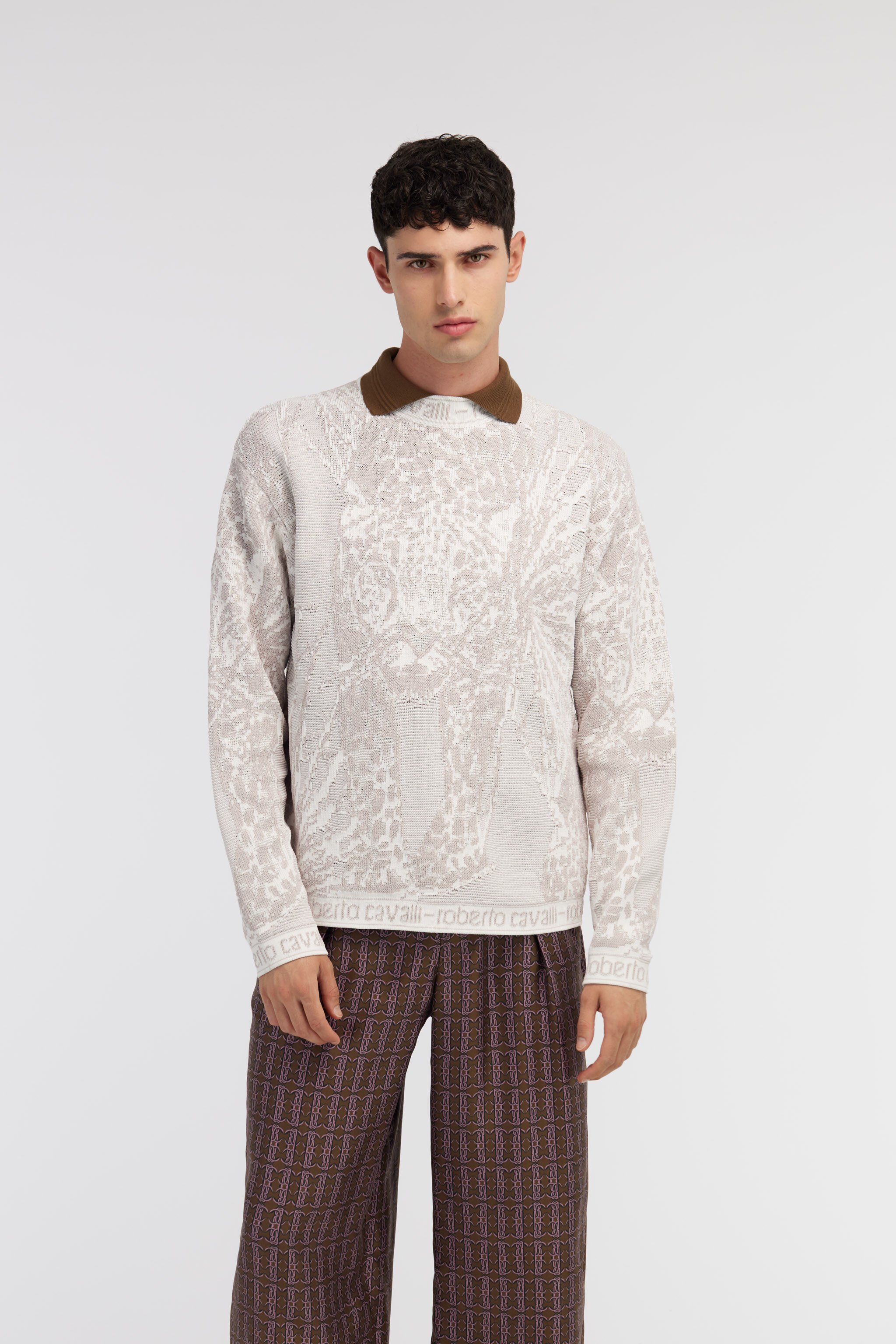 RC Maglione con motivo Tiger Grigio SRM609-MA003