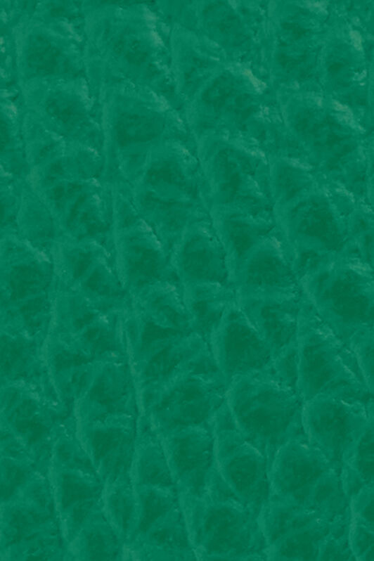 RC Cintura Logo Verde Con Mirror Snake Monogram BLACK/GREEN QOC00C-PZO33