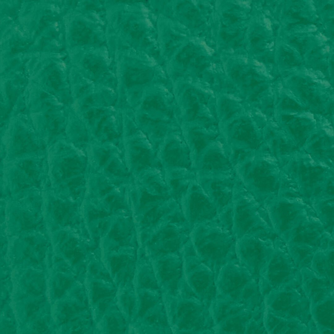 RC Cintura Logo Verde Con Mirror Snake Monogram BLACK/GREEN QOC00C-PZO33