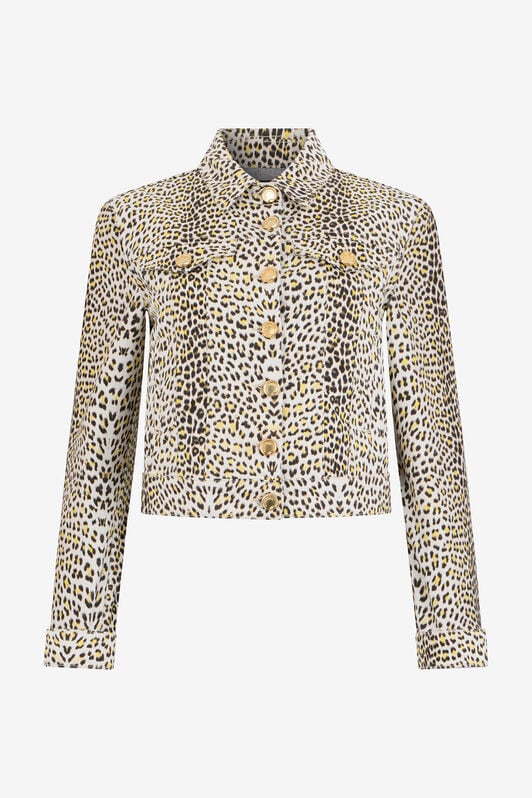 RC Pop Jaguar Animal-Print Jacket YELLOW/BLACK WQJ450-DAR30