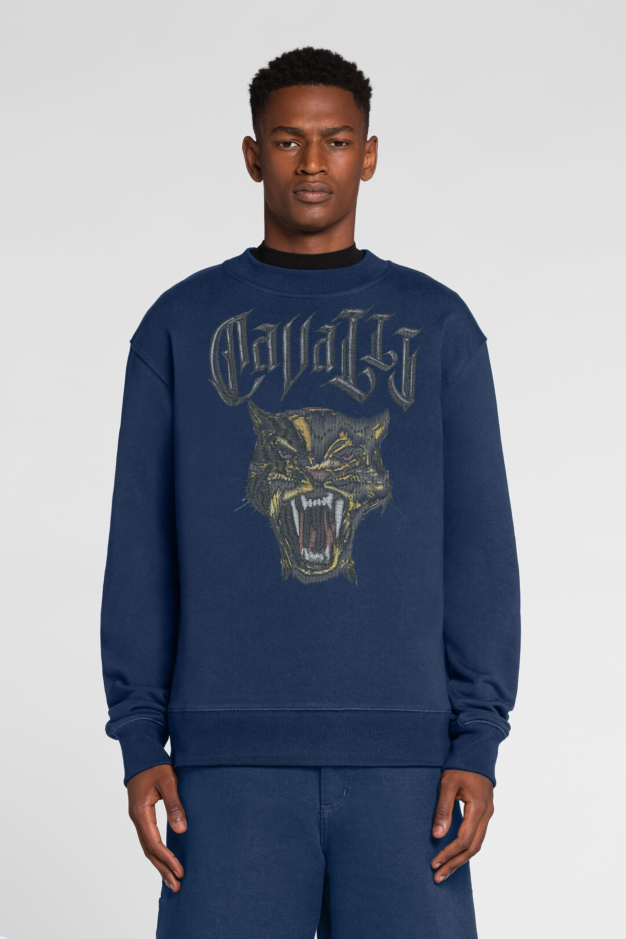 RC Panther-print cotton sweatshirt Dark blue QRT68A-CF050