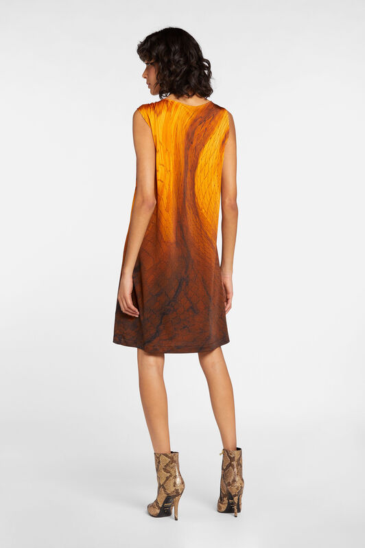 JC Just Cavalli Python-Print Dress 185S-185S IQLSGR-ISE4G