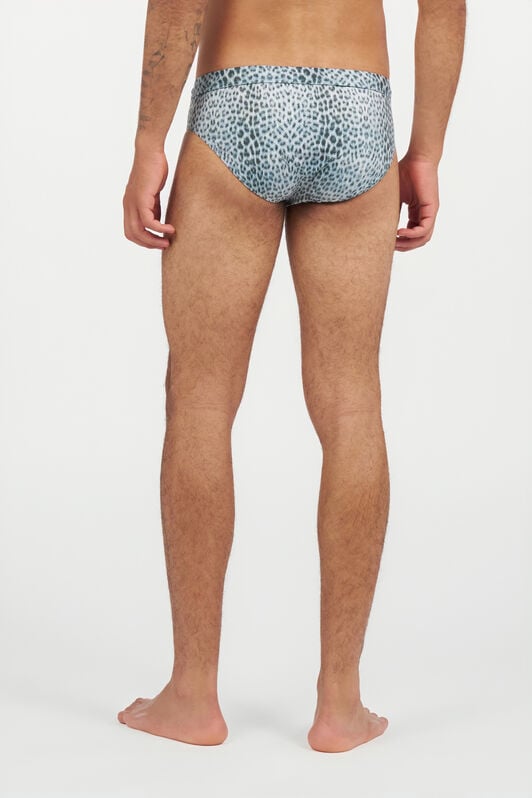 RC Swim Briefs with Baby Jaguar Print QUIET HARBOR WRH01G-LNR31