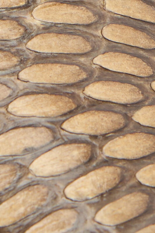 RC Pumps with Earth-Tone Scale and Snake Motif TERRA WWS001-UG001